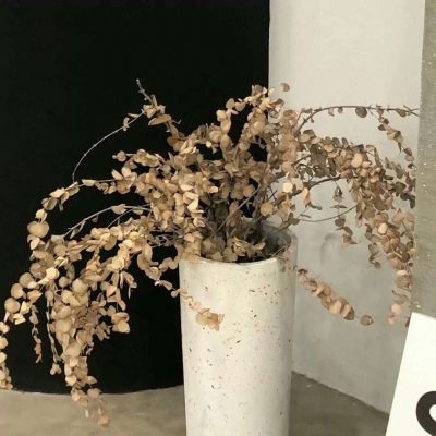 Furry绘画原创灵感Furry群